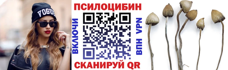 Псилоцибиновые грибы GOLDEN TEACHER  Ахтырский 